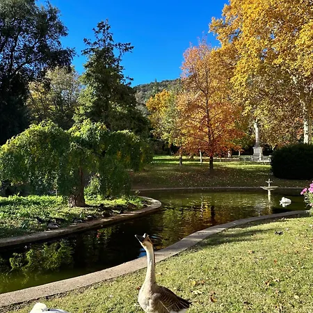 Lägenhet Le Perchoir Du Parc Coeur Historique 3 Etoiles