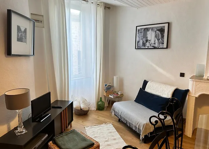 Apartamento Le Perchoir Du Parc Coeur Historique 3 Etoiles
